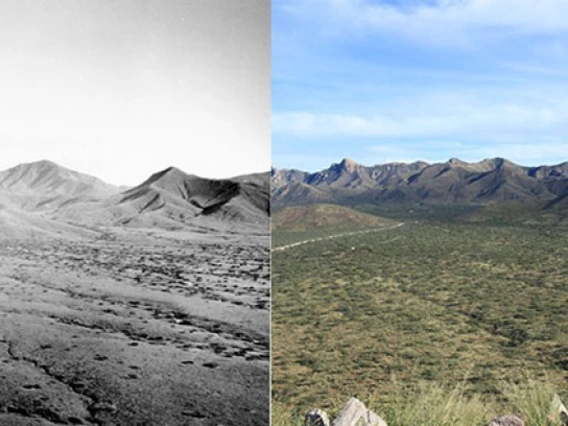 Repeat photography at the Santa Rita Experimental Range