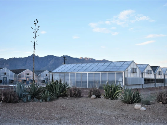 A image of greenhouses at the CEAC on CAC