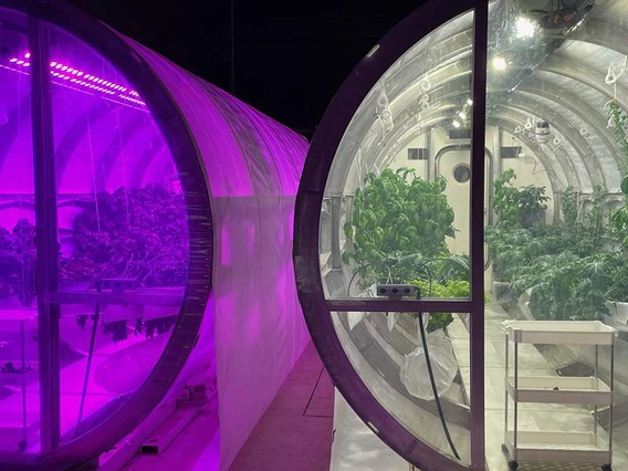 The University of Arizona Prototype Lunar Greenhouse design, which is part of the Controlled Environment Agriculture Center, will grow vegetables on the moon for astronauts. Half of ENGAGED in AST students will perform research at CEAC and learn to grow more food with limited water and resources in the coming decades.