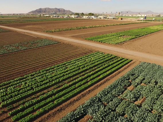 aerial view of irrigated fields YAC