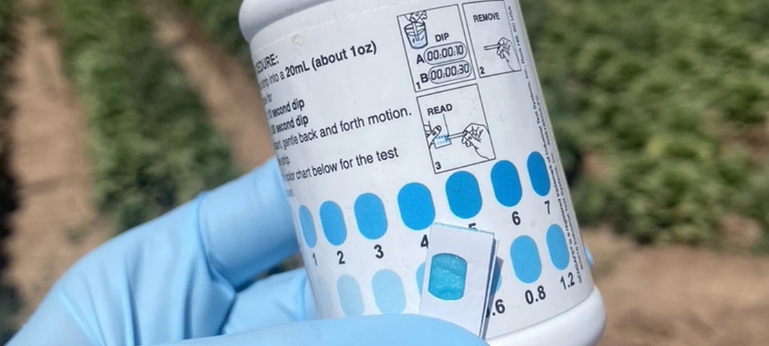 a gloved hand holds a water sample test in front of a lettuce field