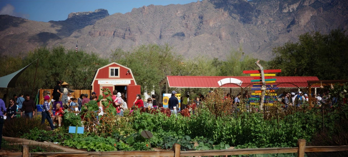 People in the fields of Tucson Village Farm