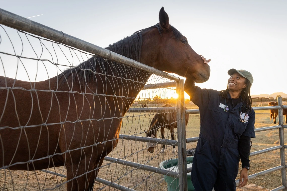 College of Veterinary Medicine student pets a horse at CAC