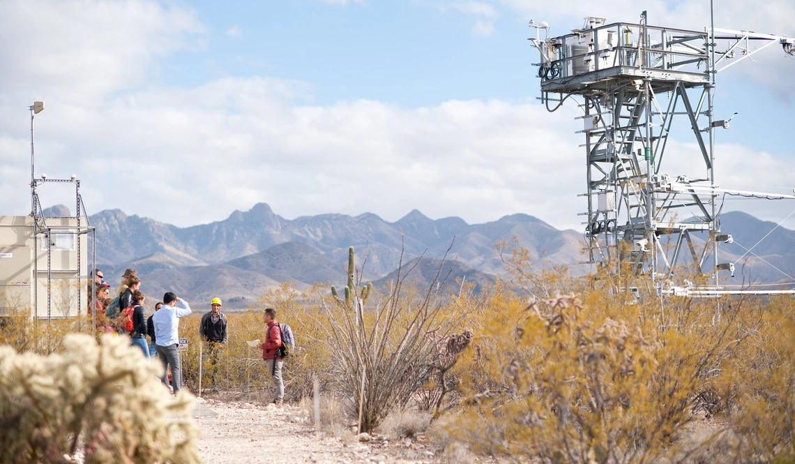 NEON tower on Santa Rita