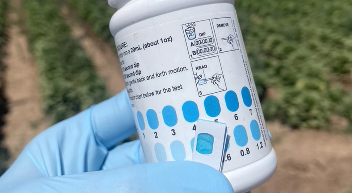 a gloved hand holds a water sample test in front of a lettuce field