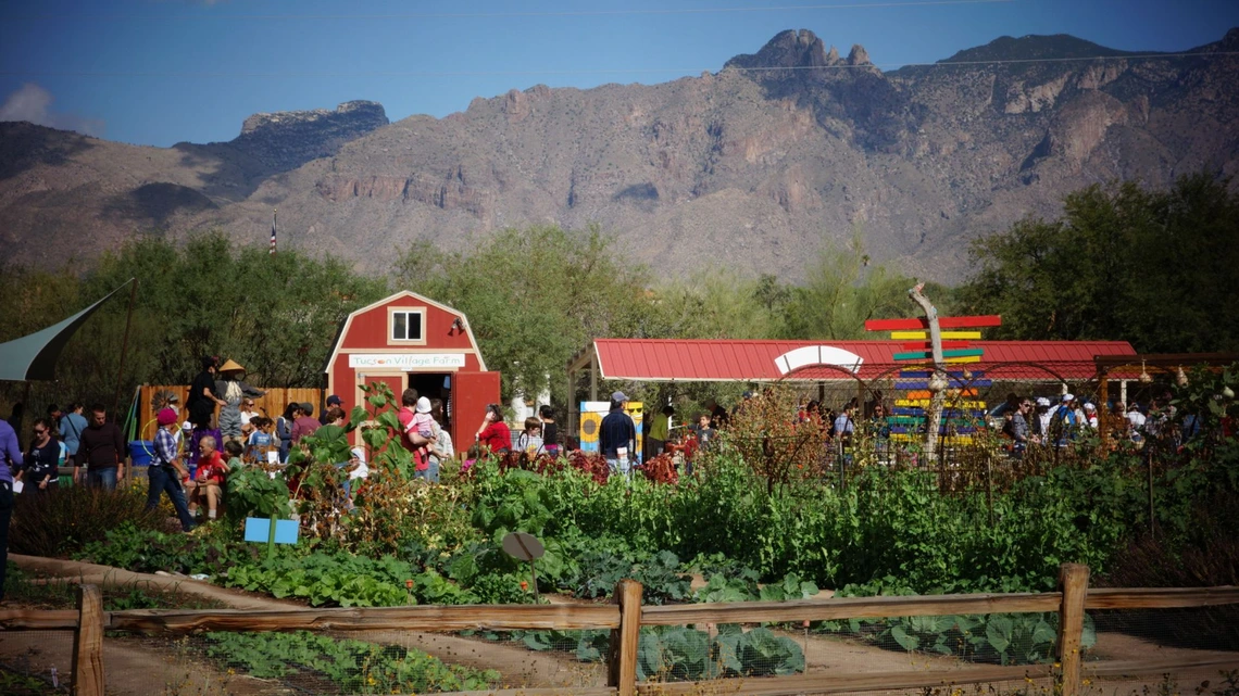 People in the fields of Tucson Village Farm