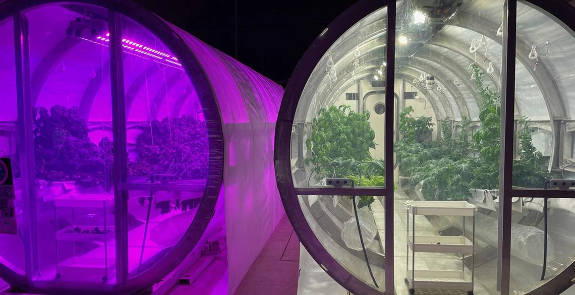 The University of Arizona Prototype Lunar Greenhouse design, which is part of the Controlled Environment Agriculture Center, will grow vegetables on the moon for astronauts. Half of ENGAGED in AST students will perform research at CEAC and learn to grow more food with limited water and resources in the coming decades.