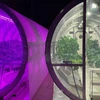 The University of Arizona Prototype Lunar Greenhouse design, which is part of the Controlled Environment Agriculture Center, will grow vegetables on the moon for astronauts. Half of ENGAGED in AST students will perform research at CEAC and learn to grow more food with limited water and resources in the coming decades.