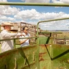 Two men examine agricultural equipment at a ranch.
