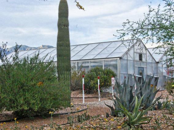 Campus Agricultural Center Facilities Arizona Experiment Station